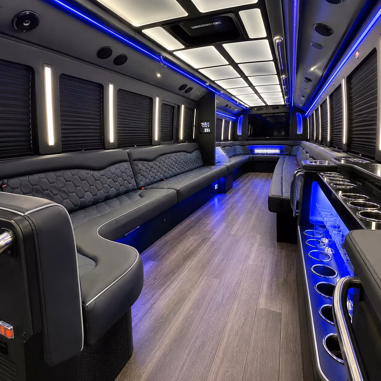 bismarck party bus rentals inside
